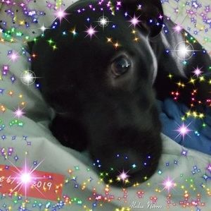 Meet your Posher, Stacey